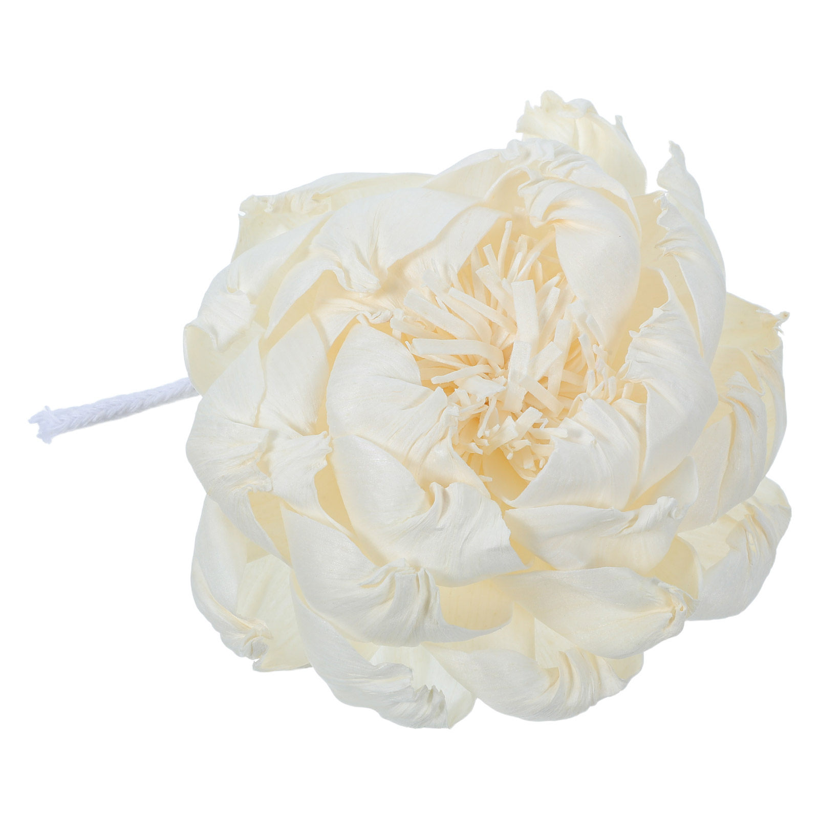 Diffuseur de parfum tête de pi - Home Fragrance Us avis et prix
